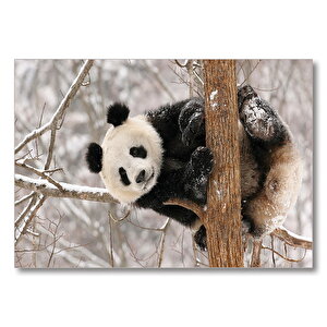Ağaç Dalında Panda  Mdf Ahşap Tablo 25x35 cm