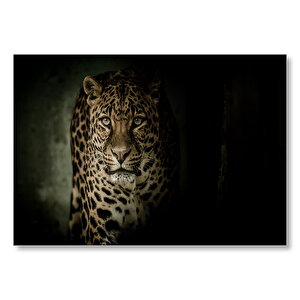 Leopar Karanlık Mod Mdf Ahşap Tablo 25x35 cm