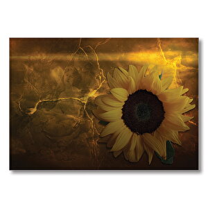 Ayçiçeği Çatlak Zeminde Kadın Figürü  Mdf Ahşap Tablo 25x35 cm