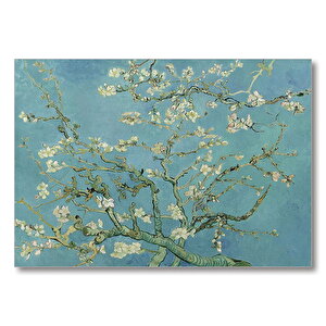 Çiçek Açan Badem Agacı Van Gogh  Mdf Ahşap Tablo