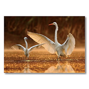 Balıkçıl Kuş Ve Yavrusu  Mdf Ahşap Tablo 50x70 cm