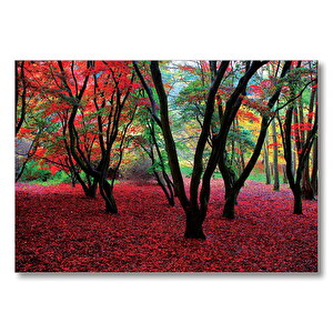Büyülü Sonbahar Ormanı  Mdf Ahşap Tablo