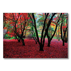 Büyülü Sonbahar Ormanı  Mdf Ahşap Tablo 50x70 cm