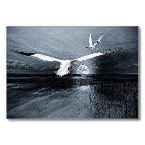 Gece Ay Göl Balıkçı Kuşları  Mdf Ahşap Tablo 50x70 cm