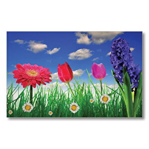 Bahar Çiçekleri  Mdf Ahşap Tablo 50x70 cm