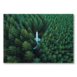 Kuşbakışı Ormanın Ortasındaki Uçak Mdf Ahşap Tablo 25x35 cm