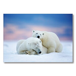 Beyaz Ayılar Kış  Mdf Ahşap Tablo 35x50 cm