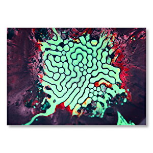 Manyetik Sıvı Yeşil Hücreler Mdf Ahşap Tablo 25x35 cm