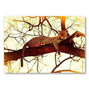 Leopar Ağaçta Dinleniyor Mdf Ahşap Tablo 25x35 cm