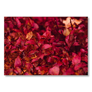Kızıl Sonbahar Yaprakları Mdf Ahşap Tablo 50x70 cm