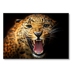 Agresif Leopar Siyah Zemin Mdf Ahşap Tablo 50x70 cm