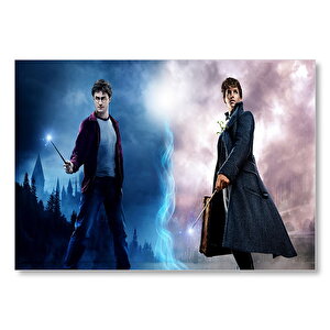Fantastik Canavarlar Ve Harry Potter Mdf Ahşap Tablo 50x70 cm