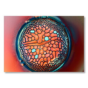 Hücre Sıvıları Ve Nesneleri Makro Mdf Ahşap Tablo 35x50 cm