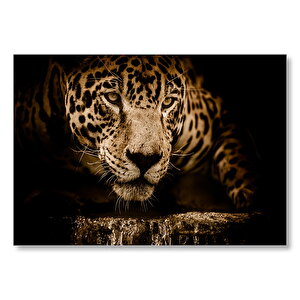 Jaguar Pusuda Yakın Plan Mdf Ahşap Tablo 50x70 cm