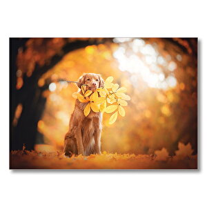 Golden Retriever Sonbahar Yaprakları Mdf Ahşap Tablo 25x35 cm
