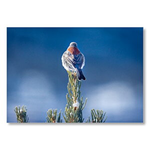 İğne Yapraklı Çam Ve Kuş Mdf Ahşap Tablo 35x50 cm