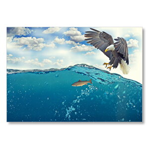 Balıkçı Kartal Avlanıyor Mdf Ahşap Tablo 25x35 cm