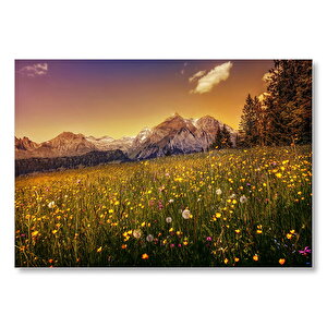 Karlı Zirveler Ve Karahindiba Çiçekleri Mdf Ahşap Tablo 50x70 cm