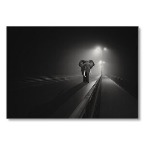 Gece Otoyol Sis Ve Fil Mdf Ahşap Tablo 50x70 cm