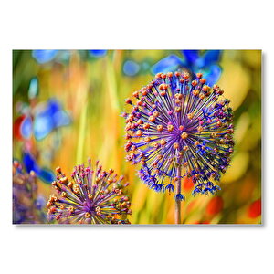 Allium Carinatum Mdf Ahşap Tablo