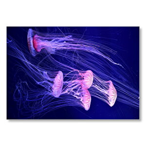 Derin Denizlerdeki Denizanaları Mdf Ahşap Tablo 35x50 cm