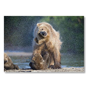 Boz Ayı Ve Yavruları Mdf Ahşap Tablo 50x70 cm