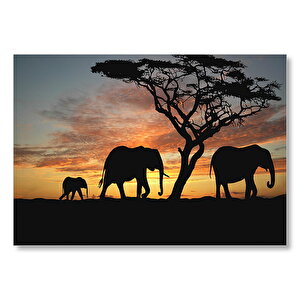 Afrika Günbatımı'nda Filler Mdf Ahşap Tablo 50x70 cm