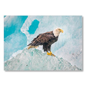 Buzdağı Üzerinde Kartal Mdf Ahşap Tablo 50x70 cm