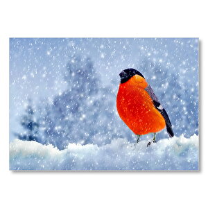 Karlar İçinde Şakrak Kuşu Mdf Ahşap Tablo 35x50 cm