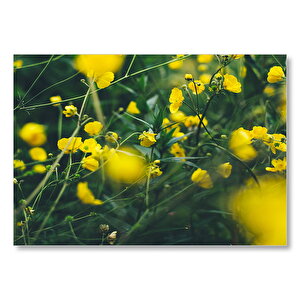 Yeşil Dallar Ve Sarı Sulfato Çiçekleri  Mdf Ahşap Tablo 25x35 cm