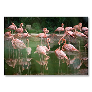 Gölde Flamingolar  Mdf Ahşap Tablo 25x35 cm