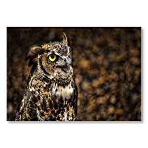 Ormanla Muhteşem Uyum İçindeki Baykuş  Mdf Ahşap Tablo 35x50 cm