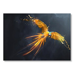 Altın Işıltılı Macaw Ve Kara Bulutlar  Mdf Ahşap Tablo