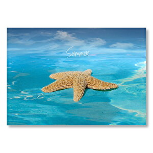 Summer Yazılı Deniz Yıldızı Ve Turkuaz Sular  Mdf Ahşap Tablo 35x50 cm