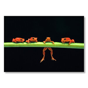 Yeşil Dal Üzerinde Turuncu Kurbağalar  Mdf Ahşap Tablo 50x70 cm