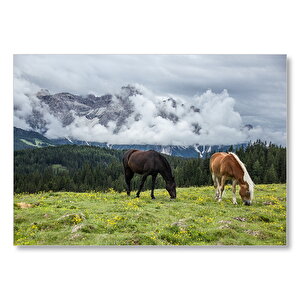 Çayırda Otlayan Atlar Ve Bulutlu Dağlar  Mdf Ahşap Tablo 50x70 cm