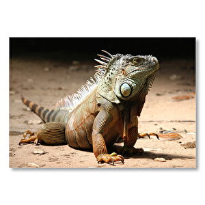 Kumlar Üzerinde Görkemli İguana  Mdf Ahşap Tablo 50x70 cm
