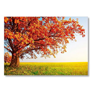 Sonbahar Renklerinde İhtiyar Ağaç  Mdf Ahşap Tablo 25x35 cm