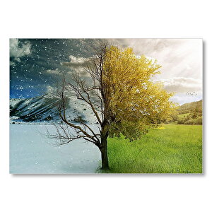 Yaz Ve Kış Bir Arada  Mdf Ahşap Tablo 25x35 cm