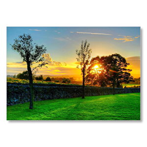 Ağaçlar Arasından Gün Batımı  Mdf Ahşap Tablo 35x50 cm