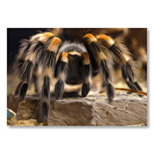 Tarantula Dijital Çizim  Mdf Ahşap Tablo 25x35 cm