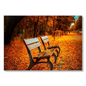 Kızıl Sonbahar Yaprakları Ve Boş Banklar  Mdf Ahşap Tablo 50x70 cm