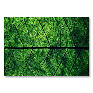 Yeşil Yaprak Dokusu Yakın Plan  Mdf Ahşap Tablo 35x50 cm