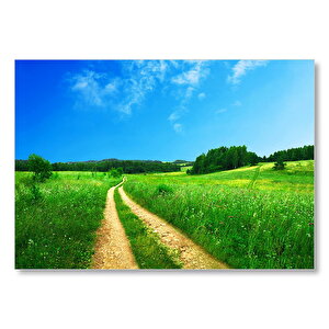 Yemyeşil Çayırları Bölen Patika  Mdf Ahşap Tablo 50x70 cm