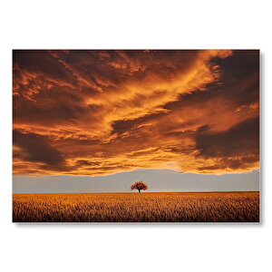 Çayırlar Kızıl Gökler Ve Yalnız Ağaç  Mdf Ahşap Tablo 25x35 cm