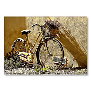 Duvar Önünde Eski Sarı Bisiklet  Mdf Ahşap Tablo 25x35 cm