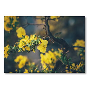 Dallarda Sarı Çiçekler  Mdf Ahşap Tablo 50x70 cm