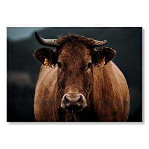 Kahverengi Abrak Sığırı  Mdf Ahşap Tablo 25x35 cm