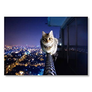 Balkon Demirindeki Cesur Kedi  Mdf Ahşap Tablo 35x50 cm