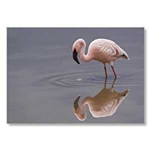 Gölde Avlanan Flamingo  Mdf Ahşap Tablo 35x50 cm
